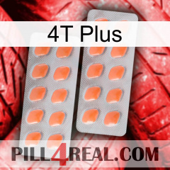 4T Plus 27